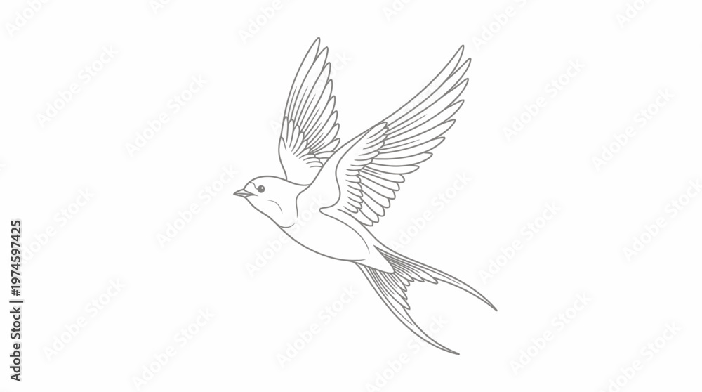 Obraz premium Bird flying illustration swallow in air wings spread