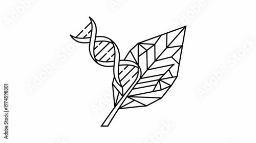 Genetic engineering concept with DNA helix and leaf