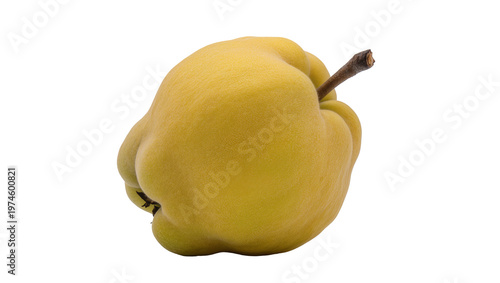 Photos Single ripe yellow quince fruit with stem, isolated on transparent background