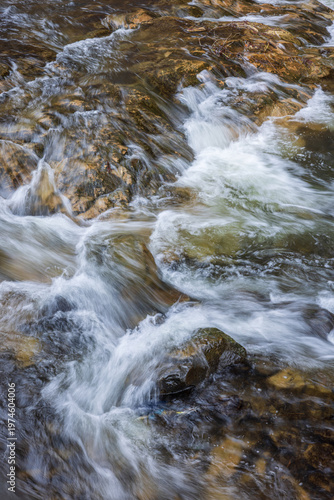 Mountain river with strong current in Zakarpattia, Ukraine. Clear water flows over rocks, creating dynamic textures, splashes and a natural relaxing background scene.