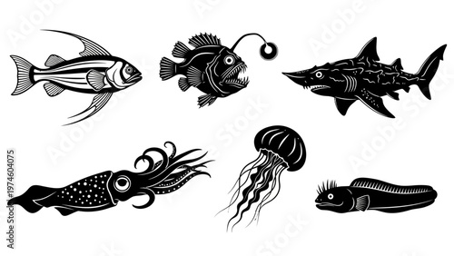 Collection of black and white vector illustrations of various sea creatures