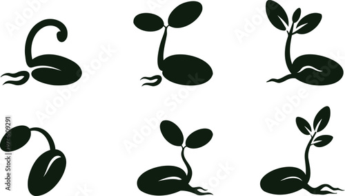 Six black silhouettes of seedlings growing in different stages  from sprouting to leafy plants on white background