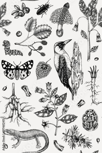 Vintage forest seamless pattern. Natural history background. Poisonous plants, insects and birds hand drawn vector illustration. NOT AI generated 