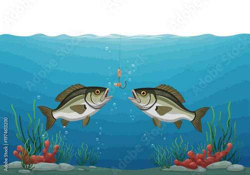 Two fish are swimming underwater near coral and seaweed