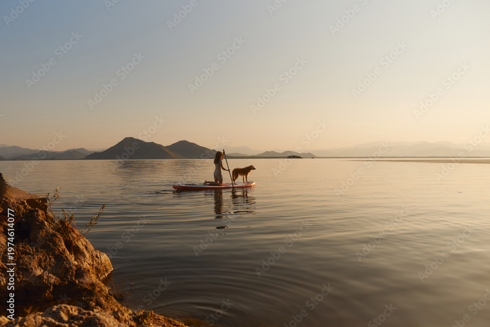 Fototapeta premium A Nova Scotia Duck Tolling Retriever rides calmly with a person near the sun reflection. The view is framed by rocks and smooth golden water.