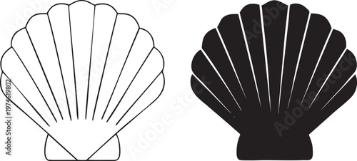 Scallop Shell Outline and Silhouette Isolated on White Background for Design