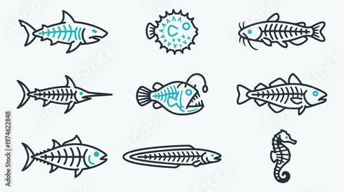 Minimalist Fish Skeleton and Bone Icon Set in Line Art Style