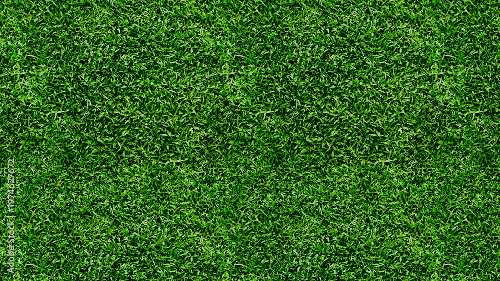 Obraz premium Green grass texture background 3D render