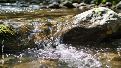 River Flow Close-Up