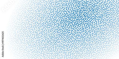 Turing Abstract Pattern, suitable for any business. White and blue color diffusion reaction seamless pattern. abstract Reaction-diffusion or Turing pattern formation, coral reef, natural texture.	