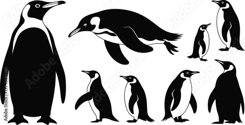 Penguin silhouette collection, antarctic bird vector set, black and white wildlife clipart, swimming standing penguins isolated illustration bundle