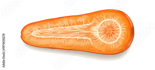 Cross section of a carrot on black background
