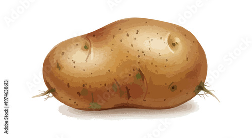Isolated potato illustration with textured skin on black background