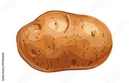 Isolated vector illustration of a single fresh potato on black background