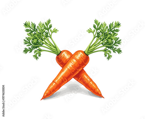 Two cross shaped carrots with green tops on black background
