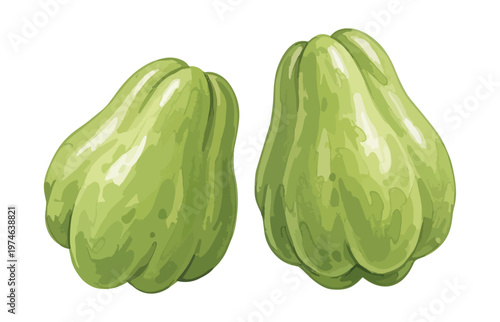 Two green chayote squash on black background isolated illustration