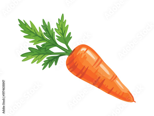 Vibrant illustrated carrot with green leaves isolated