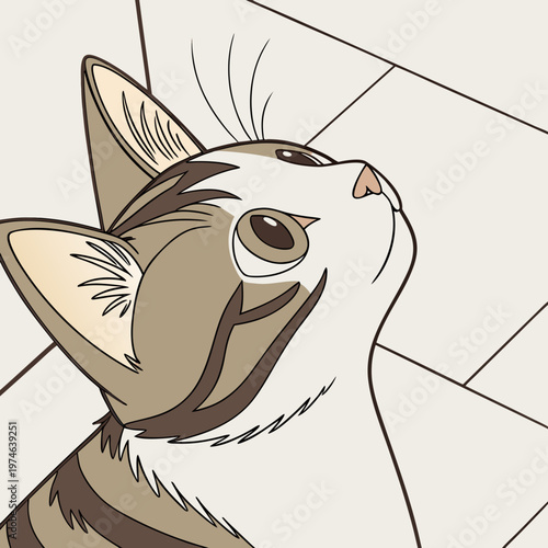 Brown and white cat looking up with tiled background feline animal