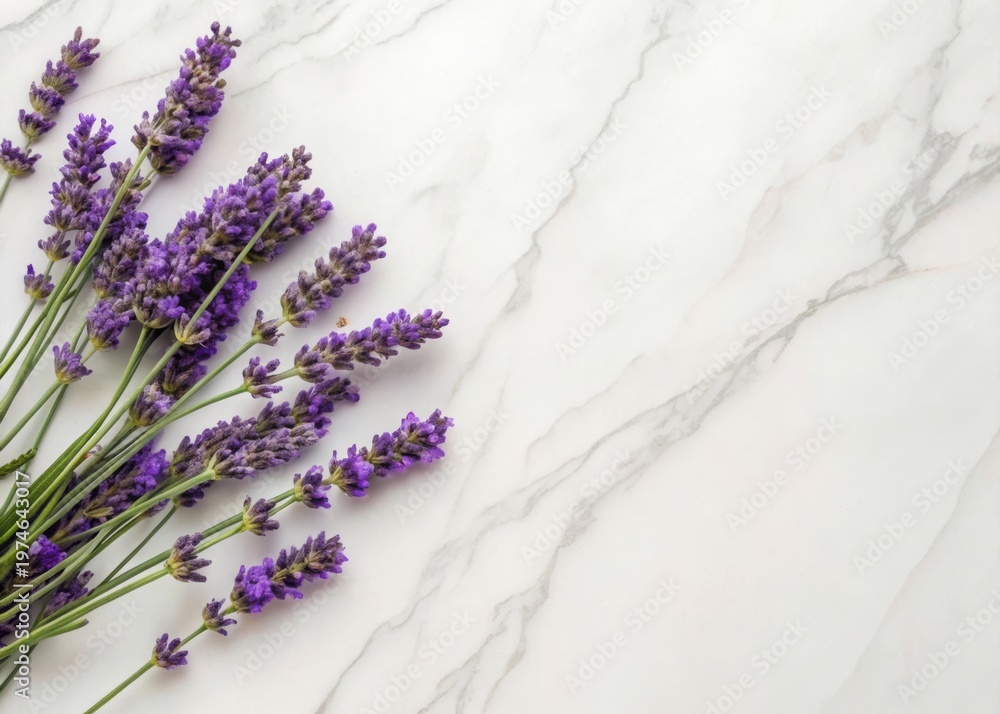 Fototapeta premium Aesthetic arrangement of dried and fresh lavender blossoms on marble closeup view floral art elegant home decor natural elements