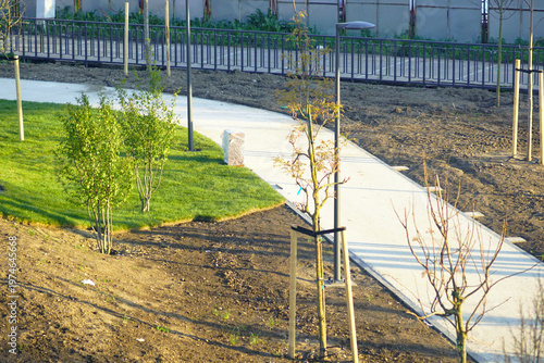 фотографія Walkway with newly planted trees and partially completed lawn areas in developing city park