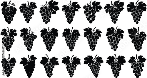 Black silhouettes of bunches of grapes with leaves on white background