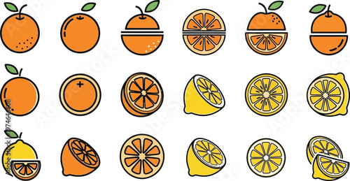 Orange and lemon in various cuts and styles oranges lemons citrus fruits fruit slices halves
