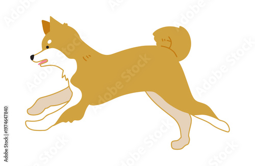 走る柴犬　犬イラスト