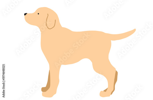 横向きのラブラドール　犬イラスト