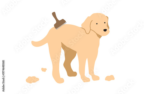 ブラッシングしてもらうラブラドール　犬イラスト