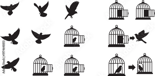 Visual narrative of a bird's journey, showcasing moments of flight, entry into a cage, and ultimate liberation, symbolizing freedom from confinement through graphic illustration