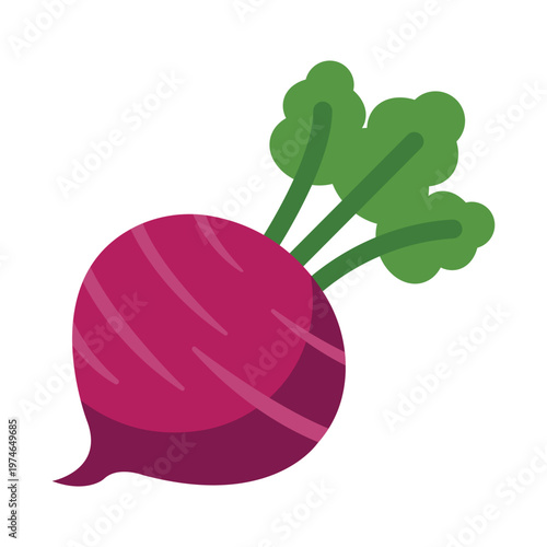 Vibrant Beetroot Delight: A fresh and colorful illustration of a juicy beetroot, showcasing its earthy purple hue and crisp green leaves, ready to be a culinary delight.