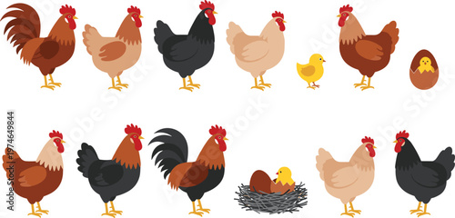 Farm Animals: Rooster, Hen, Chick, and Nest Illustration Set