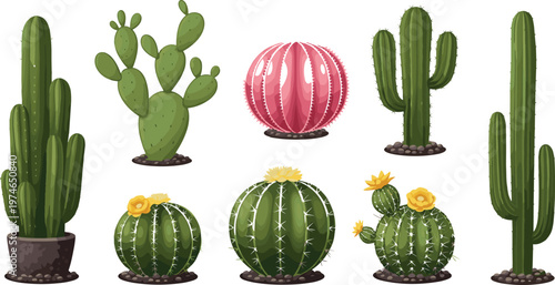 Collection of Cactus and Succulent Plants in Pots for Desert, Nature, and Home Decor Design Projects
