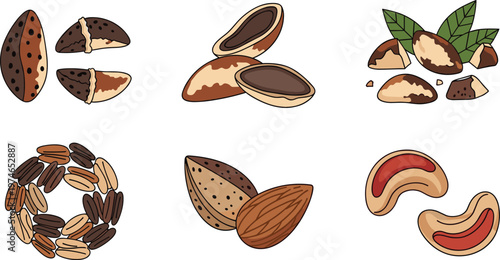 Collection of Nuts Including Almonds, Cashews, and Shells for Food, Ingredient, and Healthy Snack Designs