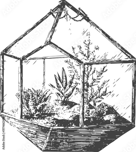 Hand drawn glass terrarium with succulents and plants inside, botanical garden decoration