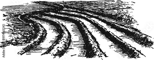Curved tractor tire tracks in freshly tilled soil field, agricultural land preparation