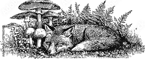 Sleeping fox resting peacefully among wild mushrooms and ferns in a natural forest setting