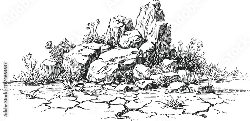 dry rocky ground with scattered stones and sparse desert plants in black ink sketch