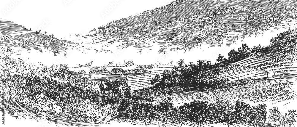 Obraz premium Vintage engraving of a mountainous landscape with trees, terraced hills, and distant valleys