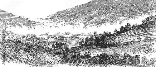 Vintage engraving of a mountainous landscape with trees, terraced hills, and distant valleys