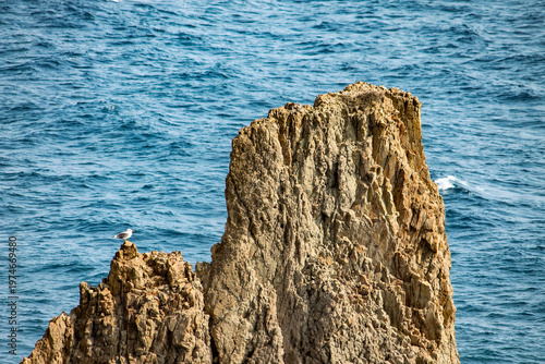A serene and solitary wildlife portrait featuring a single seagull sitting peacefully upon a dark, weathered rock formation. The bird looks out over the calm, blue waters of the Mediterranean sea