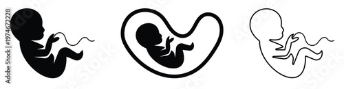 Human Fetus in Womb Detailed Medical Anatomy Concept Vector Illustration.
