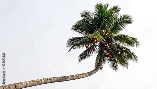 Festive palm tree, decorated with colorful ornaments, against a bright, clear sky