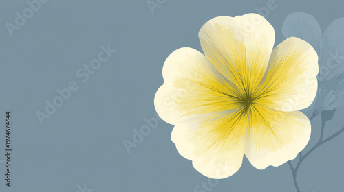A soft yellow primrose on a muted blue background, creating a peaceful, minimalist floral design