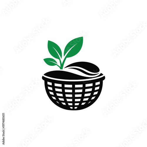 Green plant sprouting from black basket with soil