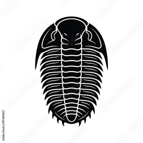 Black trilobite fossil silhouette ancient