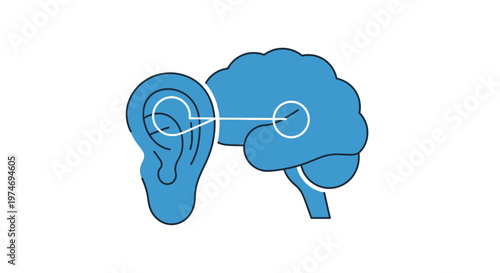 Brain Connected to Human Ear Illustration.
