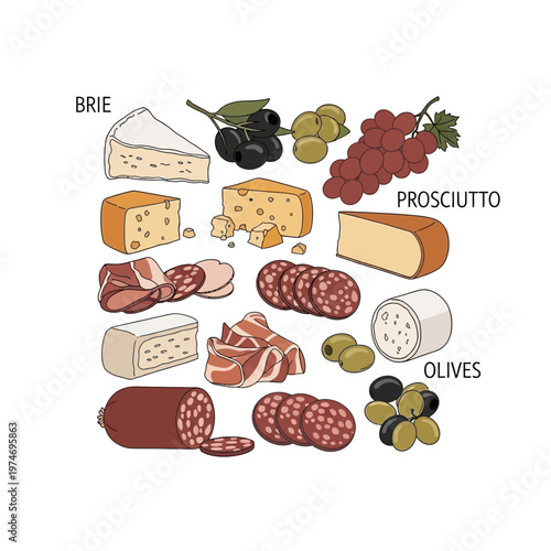 Hand drawn charcuterie board food ingredients illustration