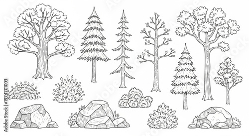 Collection of hand drawn forest elements including trees bushes and rocks in black and white