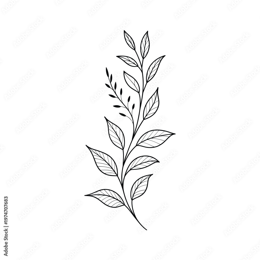 Fototapeta premium Minimalist Botanical Branch Line Art with Leaves and Clean Neutral Background